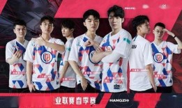 圈内爆料lgd,揭秘战队背后的故事与挑战